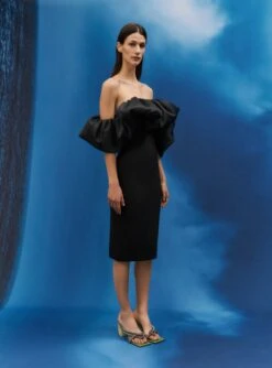 The Raina Midi Dress In Black -Solace Dress Shop 014 026 v1