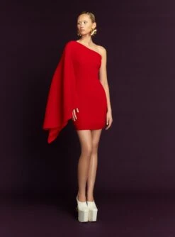 The Layne Mini Dress In Red