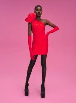 The Frida Mini Dress In Red