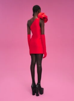 The Frida Mini Dress In Red -Solace Dress Shop 211119 SolaceLondon PF22 Look 46 019 v2
