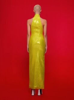 The Santina Maxi Dress In Citrus -Solace Dress Shop 220120 SolaceLondon FW22 03 061 v1