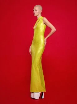 The Elissa Maxi Dress In Citrus -Solace Dress Shop 220120 SolaceLondon FW22 13 036 v1