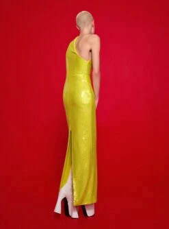 The Elissa Maxi Dress In Citrus -Solace Dress Shop 220120 SolaceLondon FW22 13 052 v1