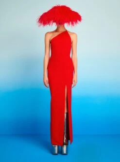 The Petch Maxi Dress In Red