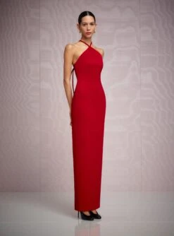 The Fern Maxi Dress In Crimson Red
